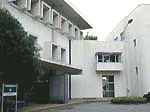 短期大学